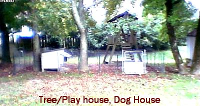 BendingwoodYardTreePlayhouseO.jpg